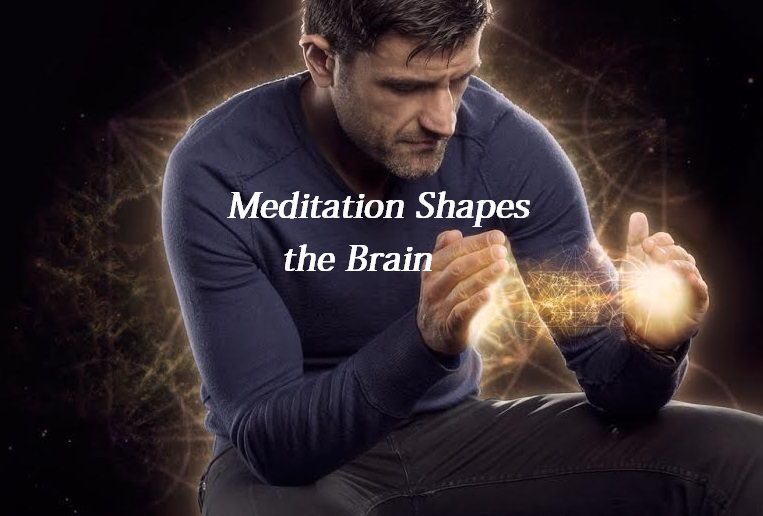 Meditation Shapes the Brain