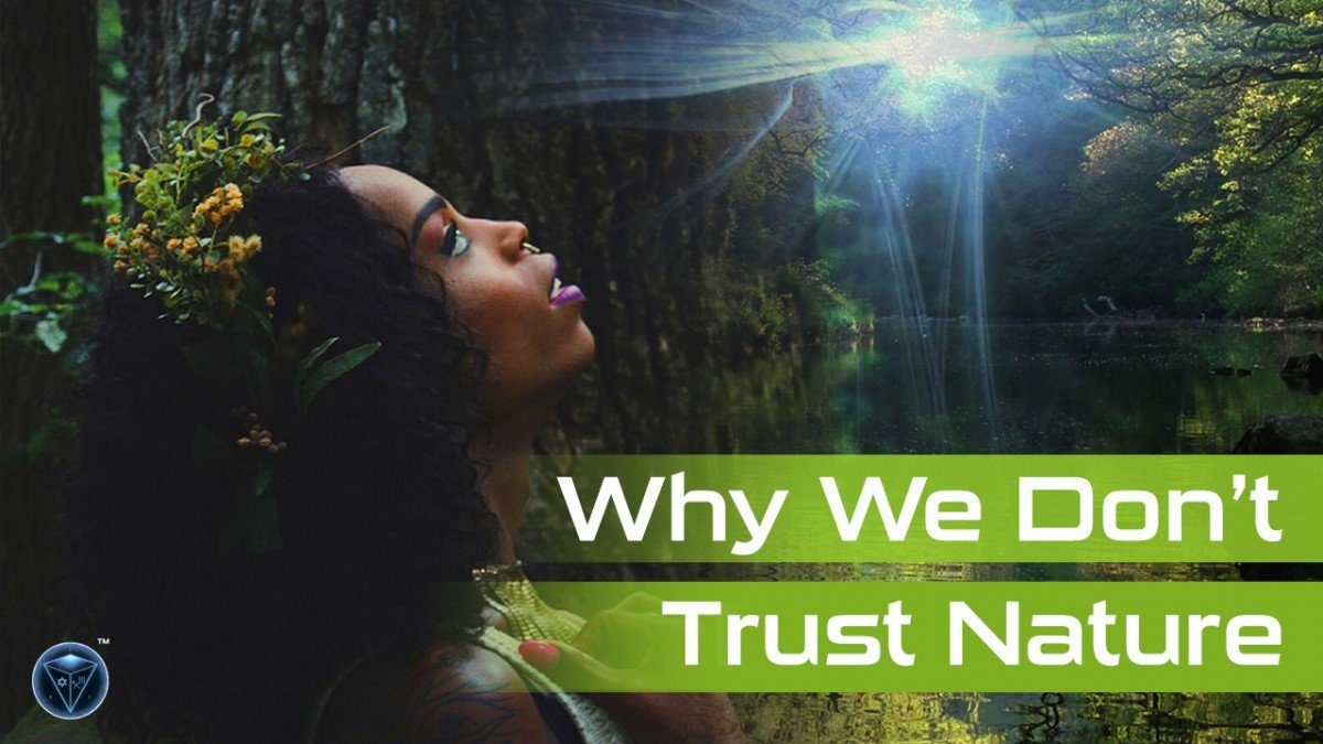 Why Don’t We Trust Nature And How To Change That