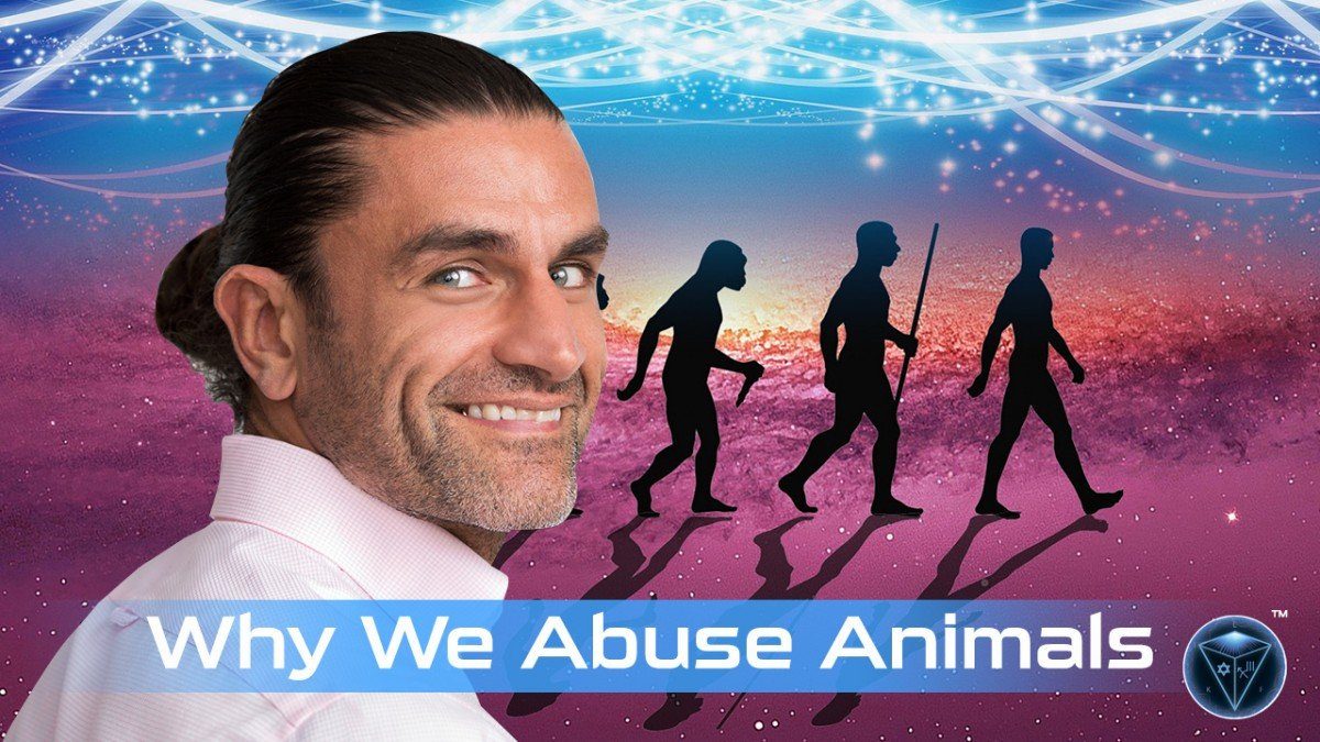 Why We Abuse Animals