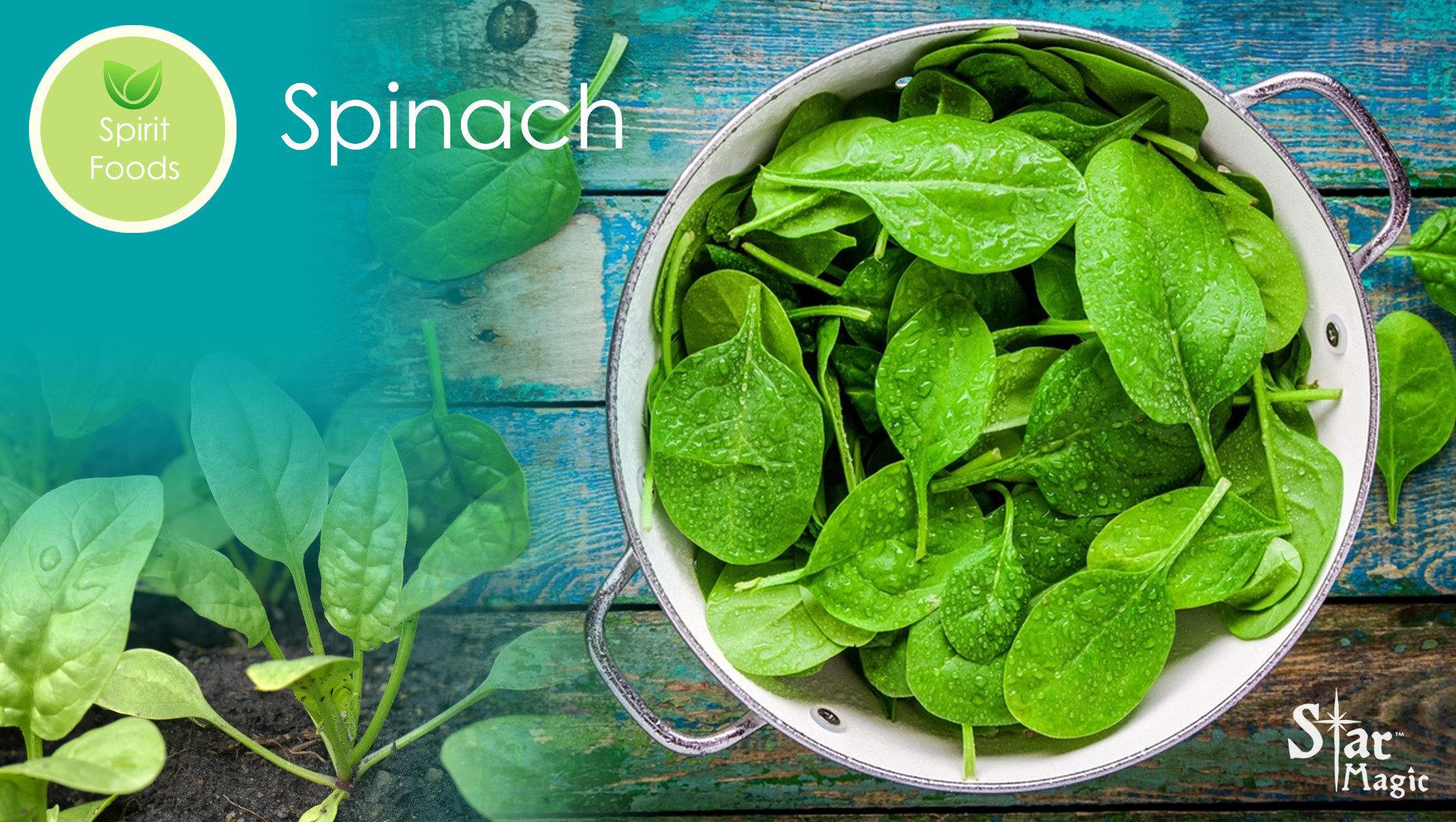 Spirit Food – Spinach