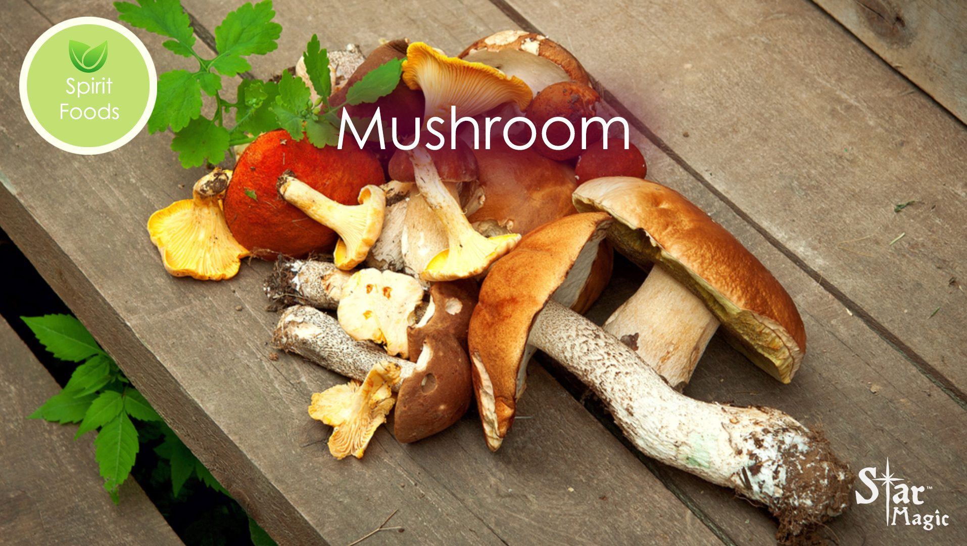 spirit food mushroom