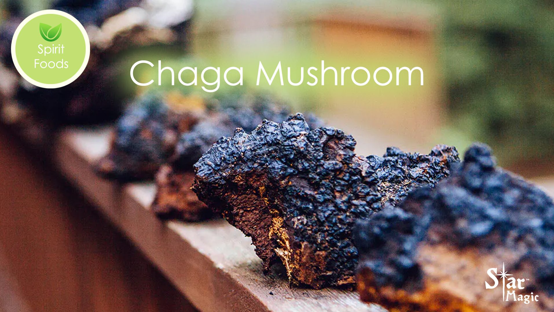 Spirit Food – Chaga Mushroom