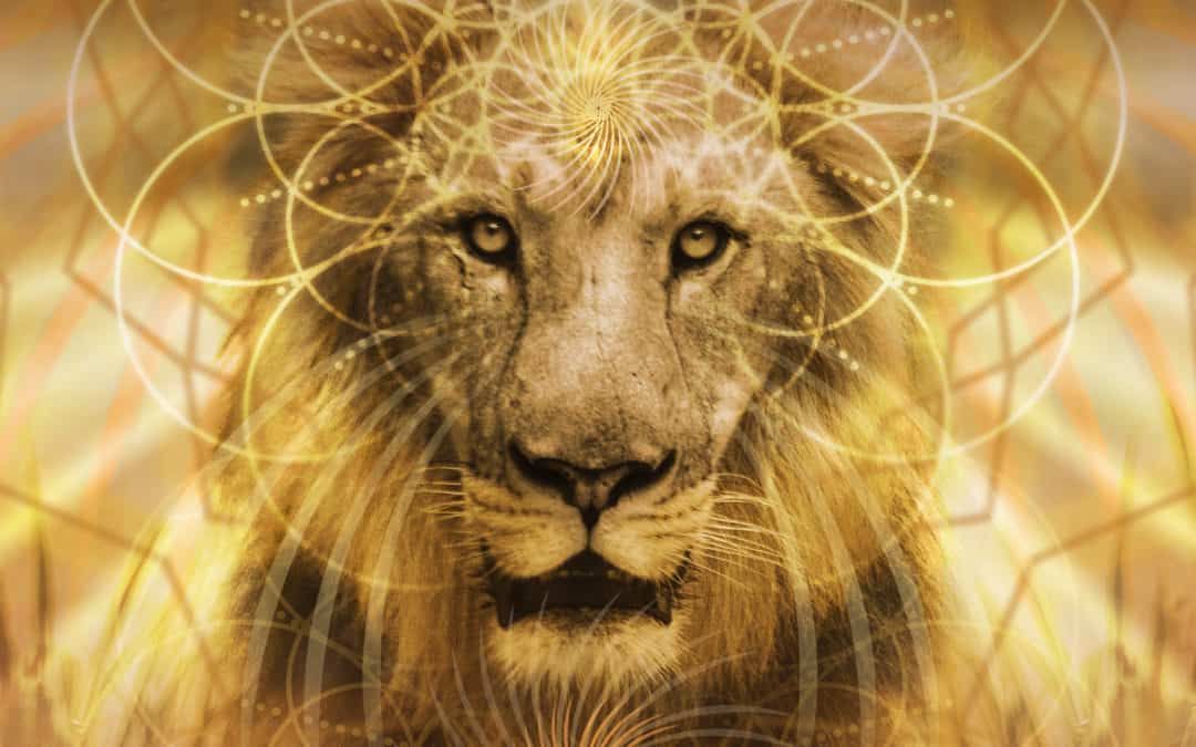 The Lion’s Gate ‘8-8’ Portal
