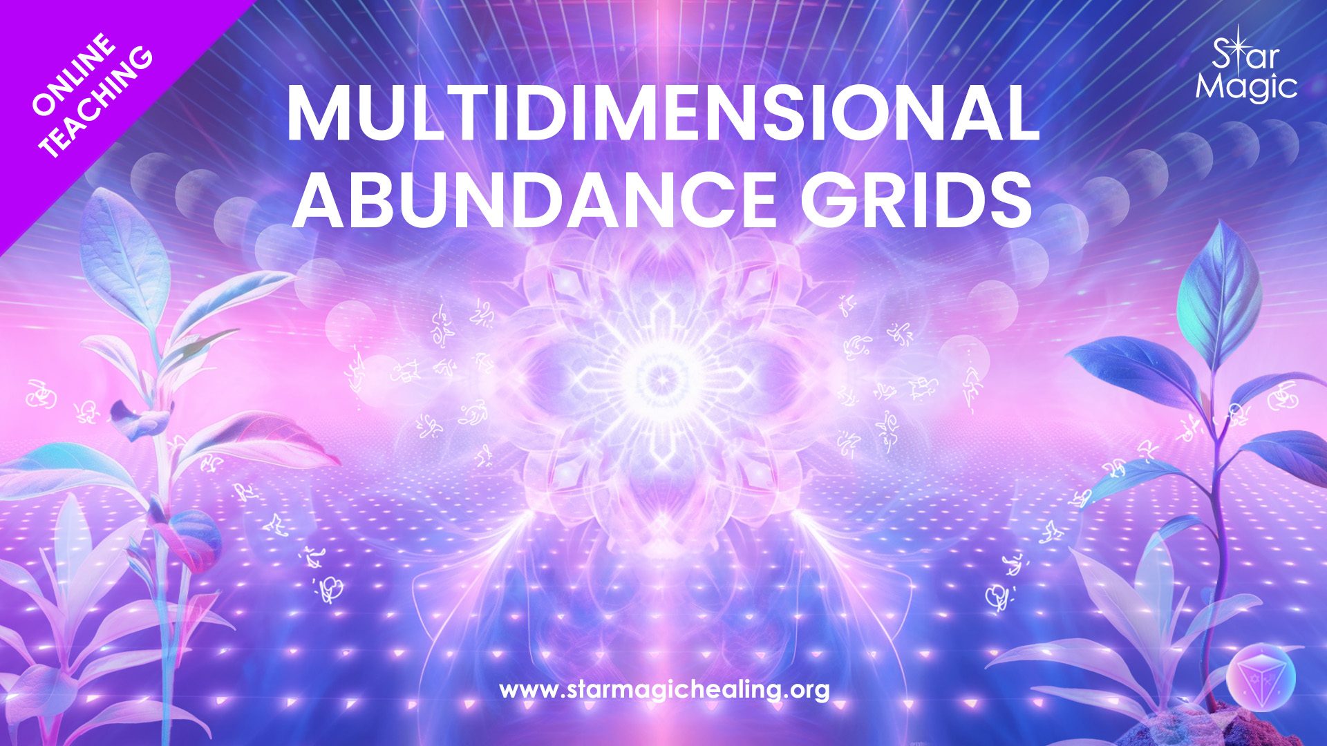 Multidimensional Abundance Grids Workshop